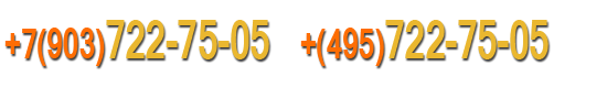 tel2